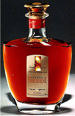 banchereauxogc.jpg (30976 bytes)