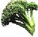 lacagouillebrocoli.jpg (3351 bytes)