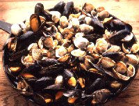 lacagouillemussels.jpg (16125 bytes)