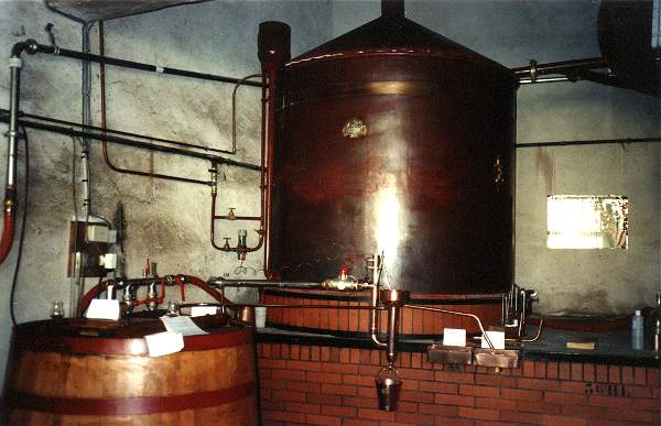 lecognacenfeteala.jpg (37850 bytes)